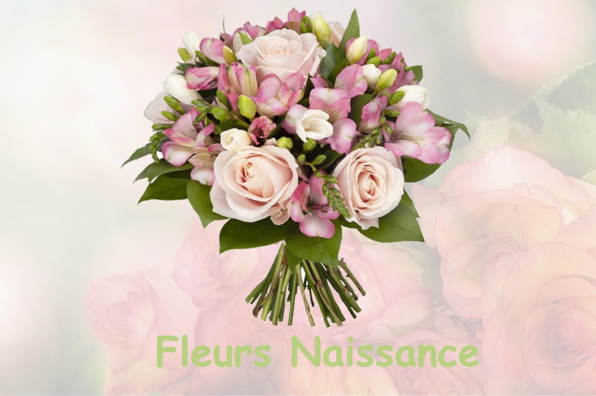 fleurs naissance LABRUYERE-DORSA