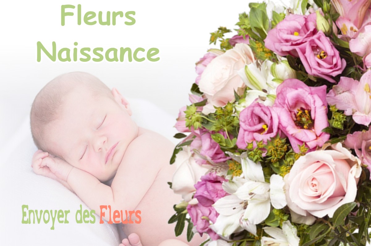 lIVRAISON FLEURS NAISSANCE à LABRUYERE-DORSA