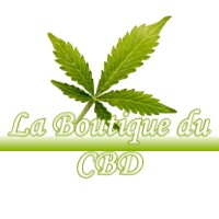 LA BOUTIQUE DU CBD LABRUYERE-DORSA 